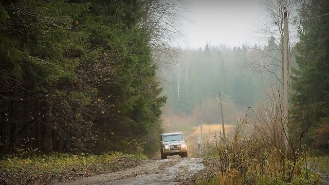 ОСЕННИЙ ЛЕС смотреть онлайн