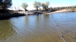 РЫБАЛКА НА АХТУБЕ 2016 (СЕЛИТРЕННОЕ, ОКТЯБРЬ)