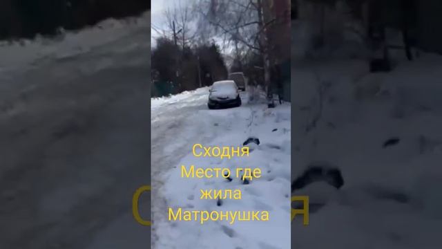 Сходня место где жила Матронушка