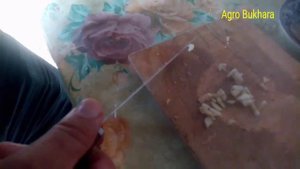 ИНДЕЙКА В ТАНДЫРЕ НЕОБИЧНОЕ МАРИНАД