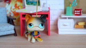 LPS / ЖЕНИХИ или СМЕШНЫЕ СЛУЧАИ ЗНАКОМСТВ / LPS СБОРНИК фильмов