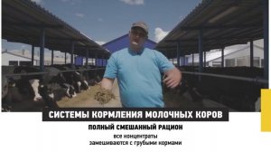 Контроль и качество кормов для молочного стада