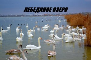 ЛЕБЕДИННОЕ ОЗЕРО\КРЫМ