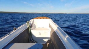 Fortis 460z по волне