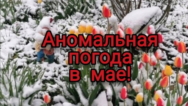 Снег в мае!❄️