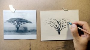 УРОК 6 - КАК АФРИКАНСКОЕ ДЕРЕВО | Рисуем шаг за шагом  | детальный разбор! | Рисунки для начинающих