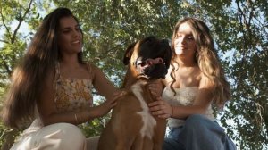 "Unleashing the Boxer: The Ultimate Guide to Boxer Dogs Revealed!"