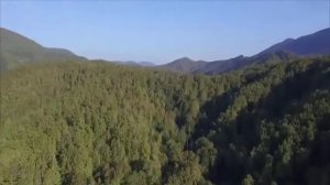 Разлилась речка быстрая