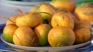 Брюква против репы. Жить здорово! Фрагмент выпуска от 09.11.2016