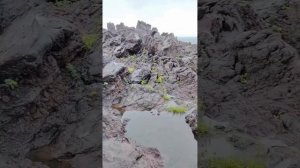 ИТУРУП (день 5)_ август 2024