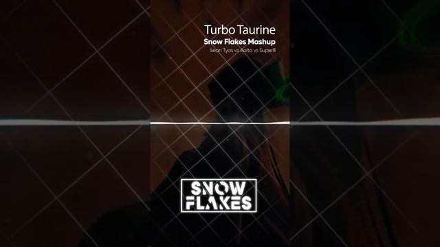 Turbo Taurine (Snow Flakes Mashup) | Sean Tyas | Aalto | Super8