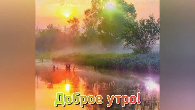 Доброго утра и хорошего дня! Мира, счастья и любви🌹 смотреть онлайн