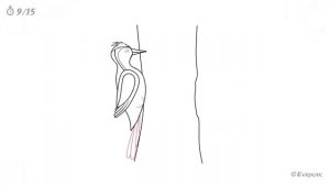 Как нарисовать дятла: инструкция от EvriKak