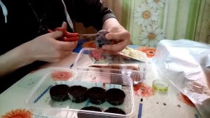 Как посеять эустому/как поделить торфяную таблетку