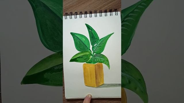 Цветок в квадратной вазе. смотреть онлайн