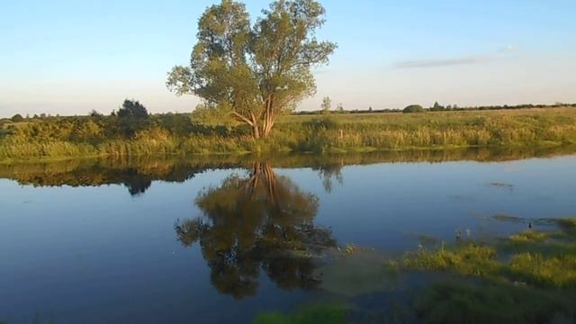 Июнь 2019. Река Теша в районе базы отдыха "Факел".