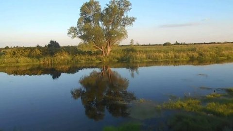 Июнь 2019. Река Теша в районе базы отдыха "Факел".