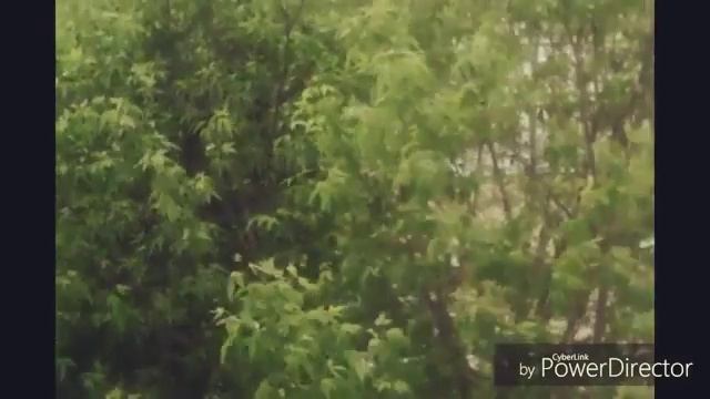 Холодно смотреть онлайн