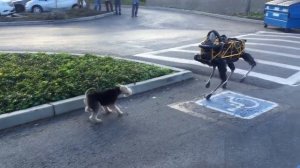 Смысл фильма «Чужой. Завет»