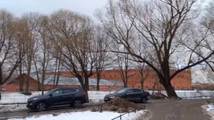 Петербург с Лизой. Вторая прогулка. Александровский парк.