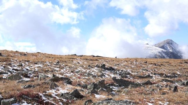 Sony FDR AX100 test footage in 4K смотреть онлайн