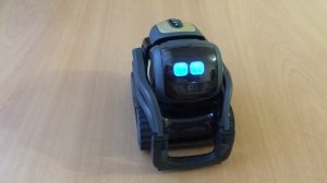 Команды для Vector Anki