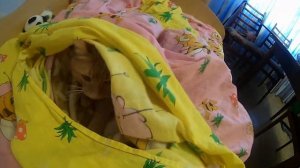 Жизнь под одеялом