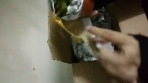 Succulent Plants Unboxing - Malaysia