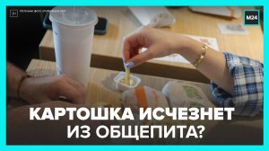 Картофель фри и по-деревенски может пропасть из некоторых ресторанов "Вкусно – и точка" - Москва 24
