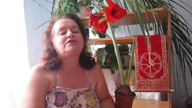 Душевные стихи про жизнь Людмилы Романовой.