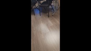 Учиться в Америке? Легко!