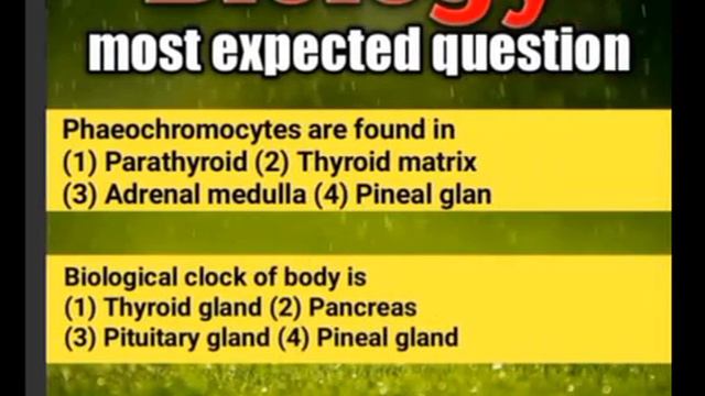 most important question|for NEET 2021 | NCERT Based question |score 650+| neet 2021 смотреть онлайн