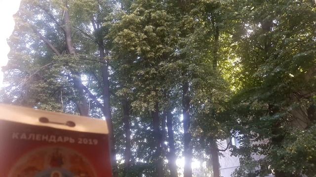 Праздник Троицы и Духов День смотреть онлайн