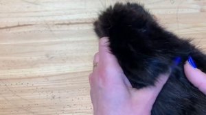 Работа с мехом, идеи, советы