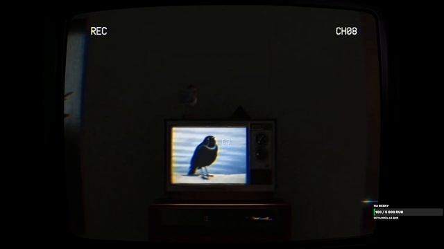 ТАЙНА ПОСЛЕДНЕЙ ЗАПИСИ | TELEFORUM #2 Запись стрима смотреть онлайн