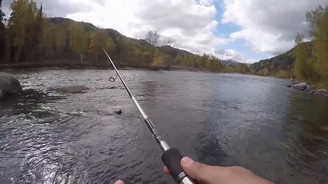 РЫБАЛКА НА ХАРИУСА!ТРОФЕЙНЫЙ ХАРИУС!Я ПОЙМАЛ ЕГО!РЫБАЛКА НА ГОРНОЙ РЕКЕ!ВЯЖЕМ РАБОЧИЕ МУХИ!! смотреть онлайн