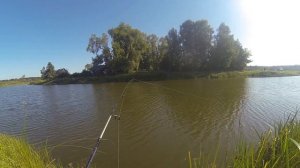 Оз. Большой исток (Ильинка). Ловим карасиков, гоняем шурогайку.