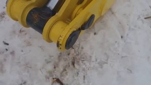 Захват Горыныч и новая делянка.