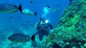 2023_Дневник одного путешествия. Часть 4 - Тритон Бэй и Порт Диксон