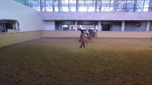 Урок верховой езды #4 / упражнения и езда на лошади/ Конно-Спортивная база ЦСКА