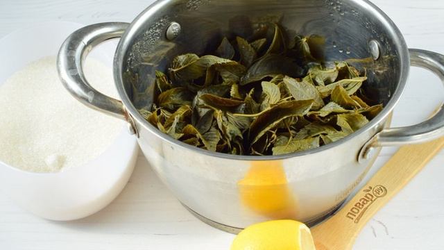 Варенье из тархуна и мяты на зиму