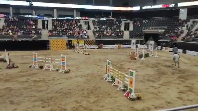 Голштинский мерин 19/07✨21 смотреть онлайн