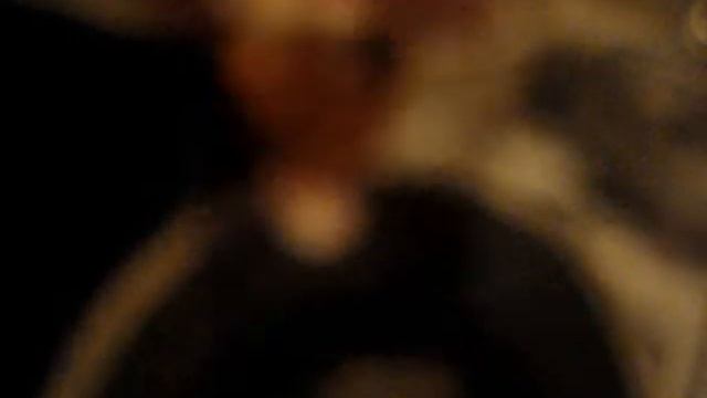 фарш в виноградных листьях.wmv смотреть онлайн