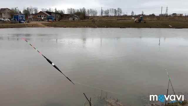 Селятино платная рыбалка