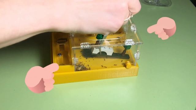 Делаю декор для арены. Парк для муравьев. Муравьиная ферма. Декорируем арену смотреть онлайн