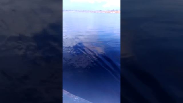 Рыбалка декабрь 2017 моторная лодка часть 2 смотреть онлайн