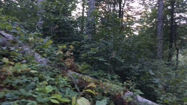 Одиночный поход в горы смотреть онлайн