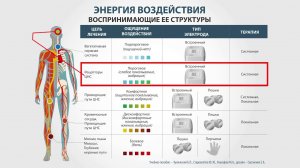 5# Энергия воздействия и воспринимающие её структуры. ЧЭНС-«Скэнар».