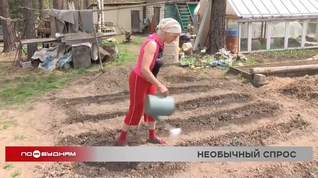 Спрос на помощников по саду и огороду в Иркутской области вырос в 8 раз смотреть онлайн