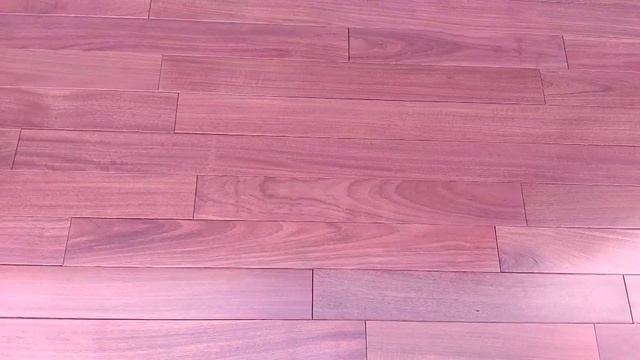 Амарант MERCIER (Пурпурное сердце) смотреть онлайн